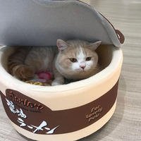 Śliczne Instant Noodle dom dla zwierząt hodowla Super duży ciepły pies kot gniazdo łóżka poduszka Udon puchar makaron łóżko dla zwierząt wymienny łatwe czyszczenie 4